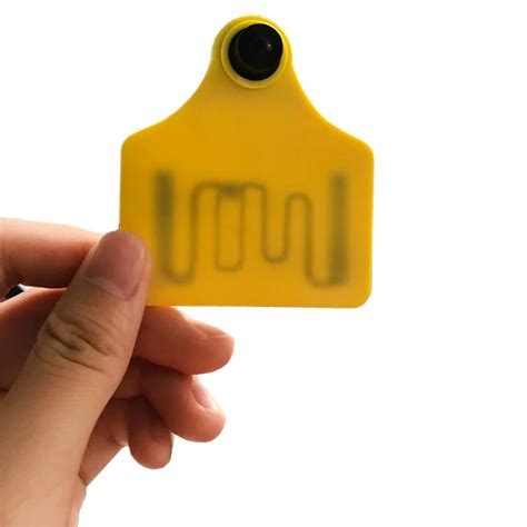 china rfid livestock tags|livestock microchip identification.